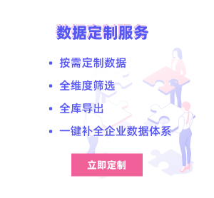 數據定制服務